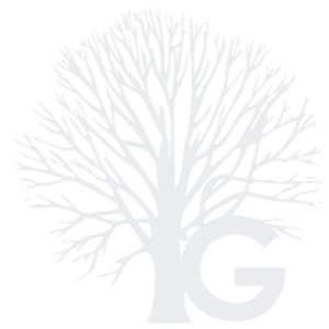 (c) Guineagrupo.com